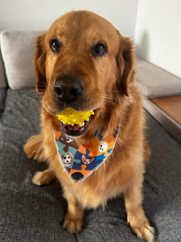 Pet na PetKelo