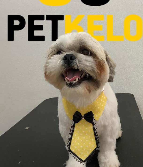 Pet na PetKelo